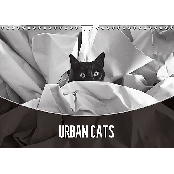 Urban Cats (Wall Calendar 2018 DIN A4 Landscape), Magda Lates