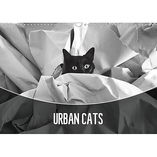 Urban Cats (Wall Calendar 2021 DIN A3 Landscape), Magda Lates