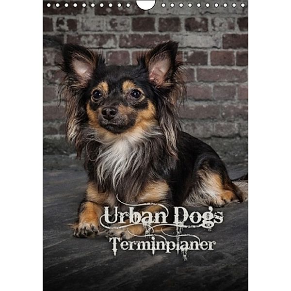 Urban Dog Terminplaner (Wandkalender 2015 DIN A4 hoch), Oliver Pinkoss