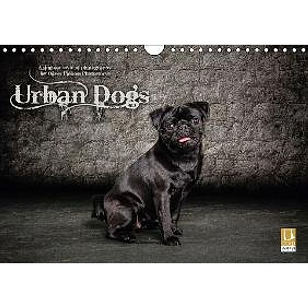 Urban Dogs - Hundekalender der anderen Art (Wandkalender 2016 DIN A4 quer), Oliver Pinkoss