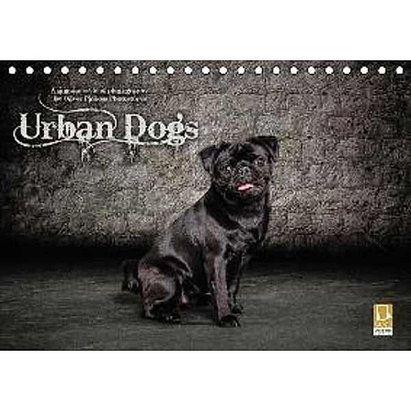 Urban Dogs - Hundekalender der anderen Art (Tischkalender 2016 DIN A5 quer), Oliver Pinkoss