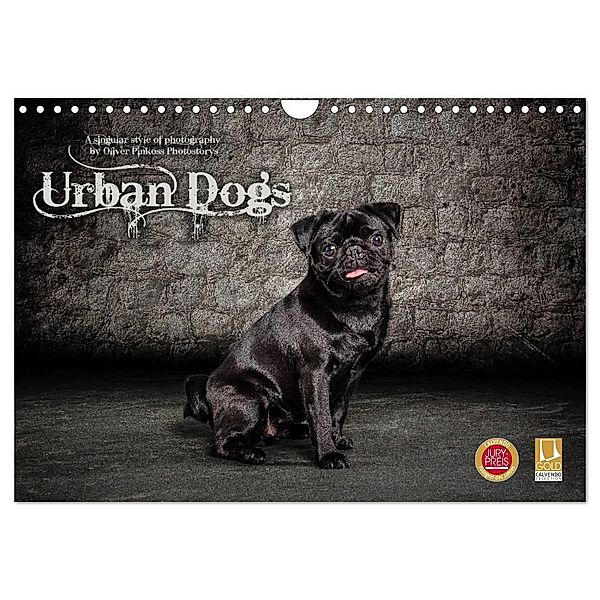 Urban Dogs - Hundekalender der anderen Art (Wandkalender 2024 DIN A4 quer), CALVENDO Monatskalender, Oliver Pinkoss Photostorys