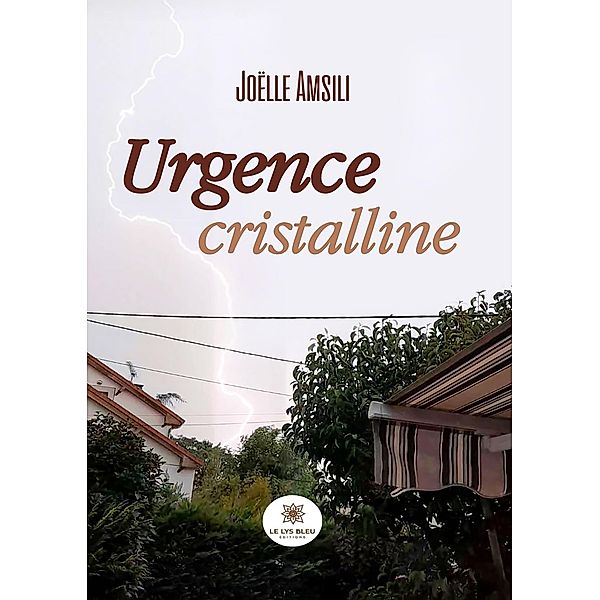 Urgence cristalline, Joëlle Amsili
