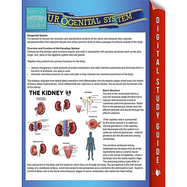 Urogenital System (Speedy Study Guides) / Dot EDU, Speedy Publishing