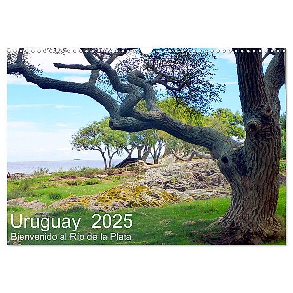 Uruguay - Bienvenido al Río de la Plata (Wandkalender 2025 DIN A3 quer), CALVENDO Monatskalender, Calvendo, Günter Ruhm Mannheim