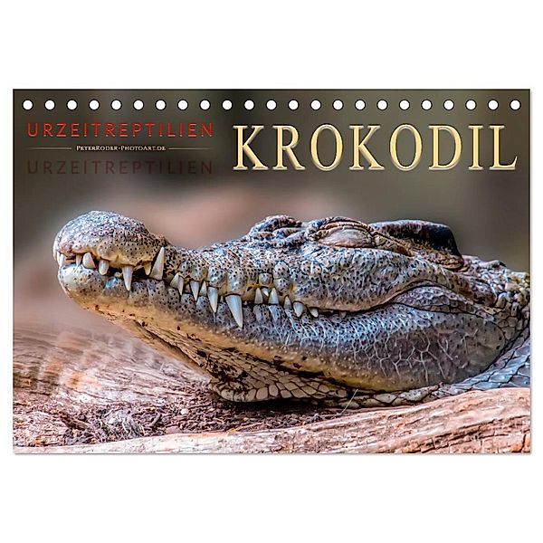 Urzeitreptilien - Krokodil (Tischkalender 2024 DIN A5 quer), CALVENDO Monatskalender, Peter Roder