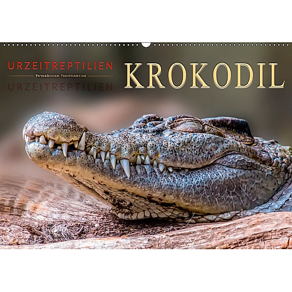 Urzeitreptilien - Krokodil (Wandkalender 2019 DIN A2 quer), Peter Roder