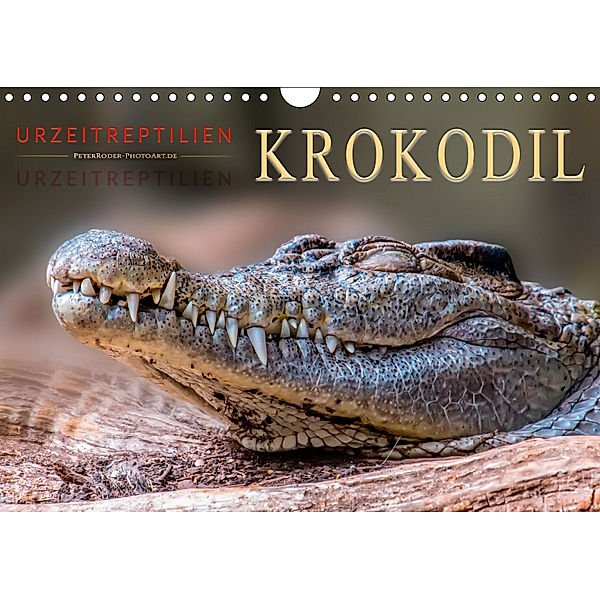 Urzeitreptilien - Krokodil (Wandkalender 2019 DIN A4 quer), Peter Roder