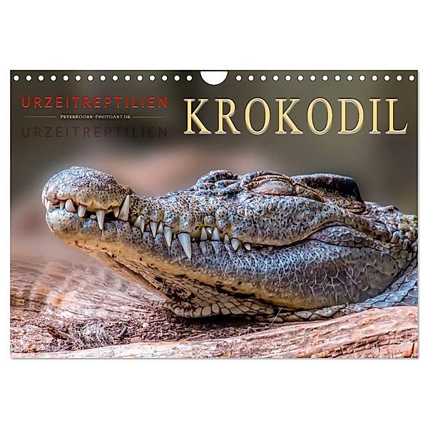 Urzeitreptilien - Krokodil (Wandkalender 2025 DIN A4 quer), CALVENDO Monatskalender, Calvendo, Peter Roder