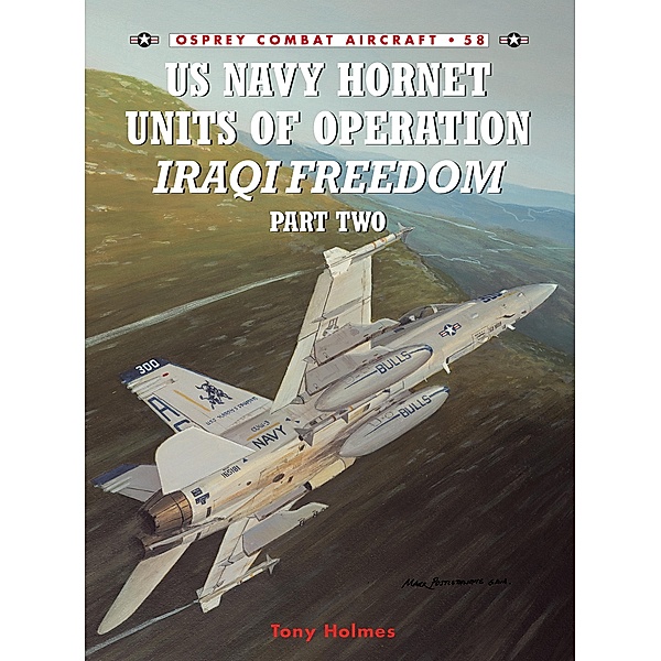 US Navy Hornet Units of Operation Iraqi Freedom (Part Two), Tony Holmes