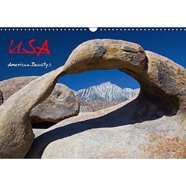 USA - American Beautys (Wandkalender 2016 DIN A3 quer), C. J. Cibella
