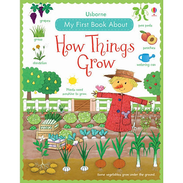 Usborne My First Book About How Things Grow, Felicity Brooks