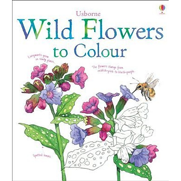 Usborne Wild Flowers to Colour, Susan Meredith