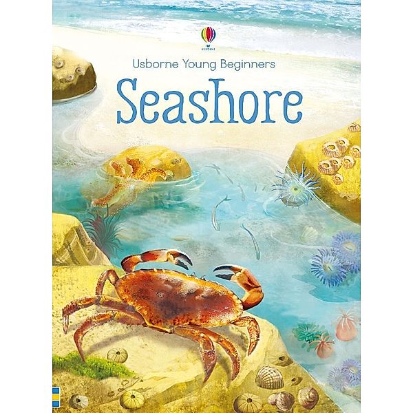 Usborne Young Beginners / Seashore, Emily Bone