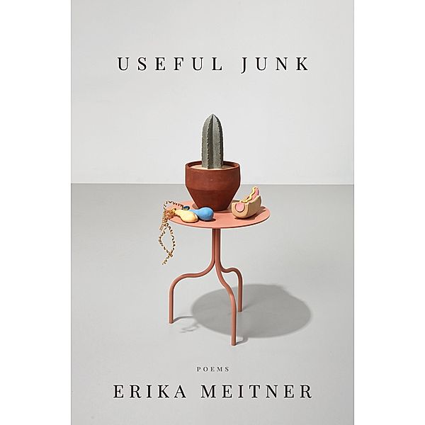 Useful Junk, Erika Meitner