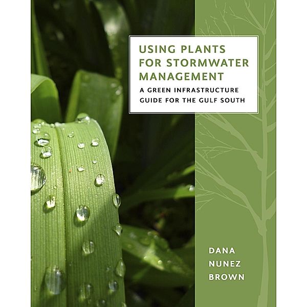 Using Plants for Stormwater Management, Dana Nunez Brown