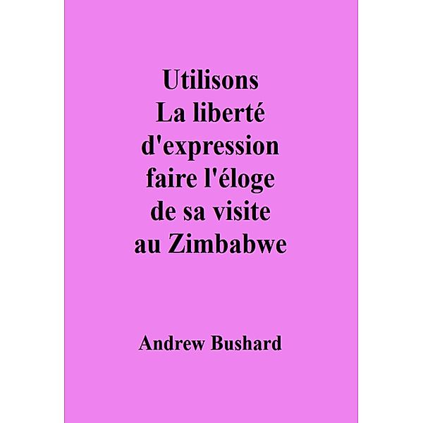 Utilisons La liberté d'expression faire l'éloge de sa visite au Zimbabwe, Andrew Bushard