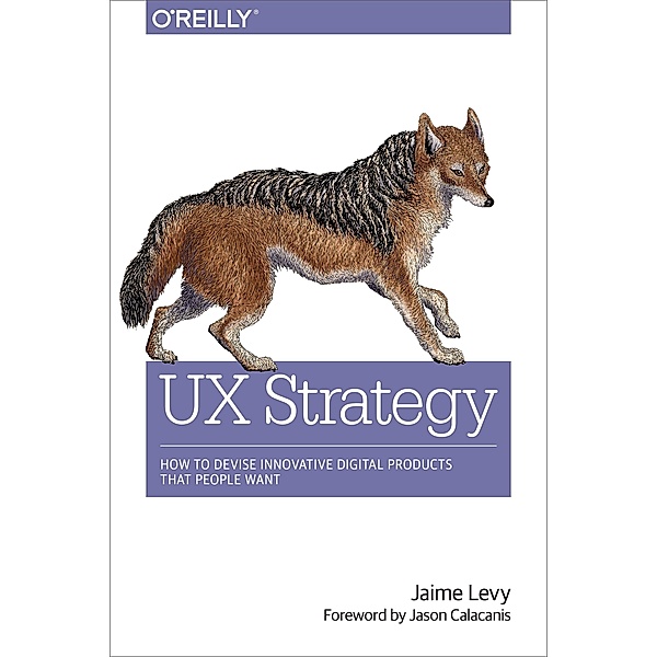 UX Strategy, Jaime Levy