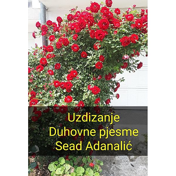 Uzdizanje Duhovne pjesme, Sead Adanalic