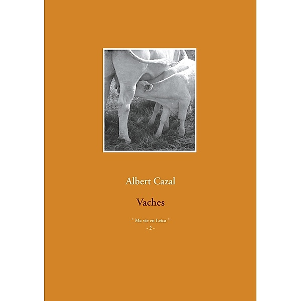 Vaches, Albert Cazal