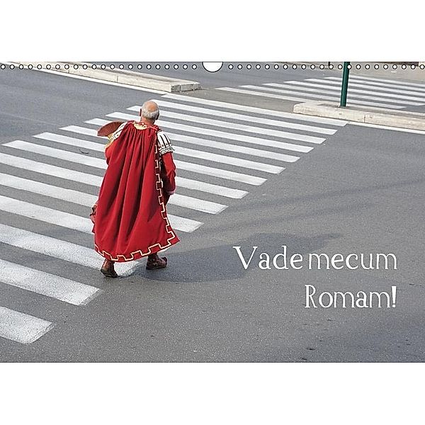 Vade mecum Romam - Geh mit mir nach Rom (Wandkalender 2017 DIN A3 quer), Philipp Weber