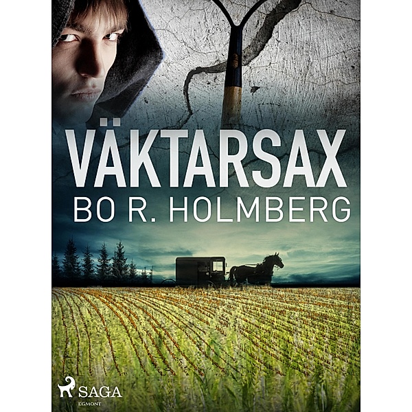 Väktarsax, Bo R. Holmberg