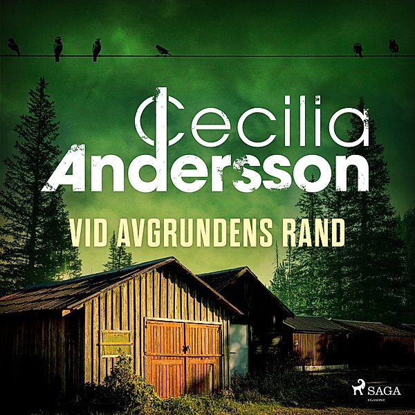 Västervikserien - 3 - Vid avgrundens rand, Cecilia Andersson