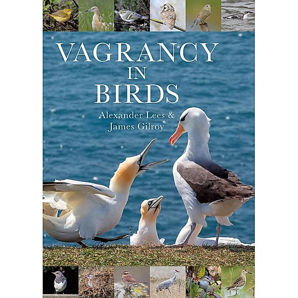 Vagrancy in Birds, Alexander Lees, James Gilroy