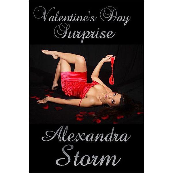 Valentine's Day Surprise (Sexy Holiday Surprises, #1) / Sexy Holiday Surprises, Alexandra Storm