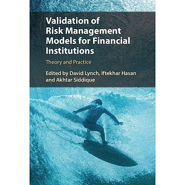 Validation of Risk Management Models for Financial Institutions