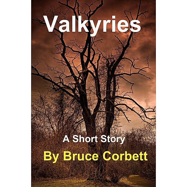 Valkyries / Bruce Corbett, Bruce Corbett