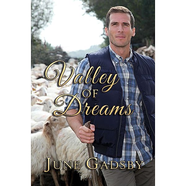 Valley of Dreams / Books We Love Ltd., June Gadsby