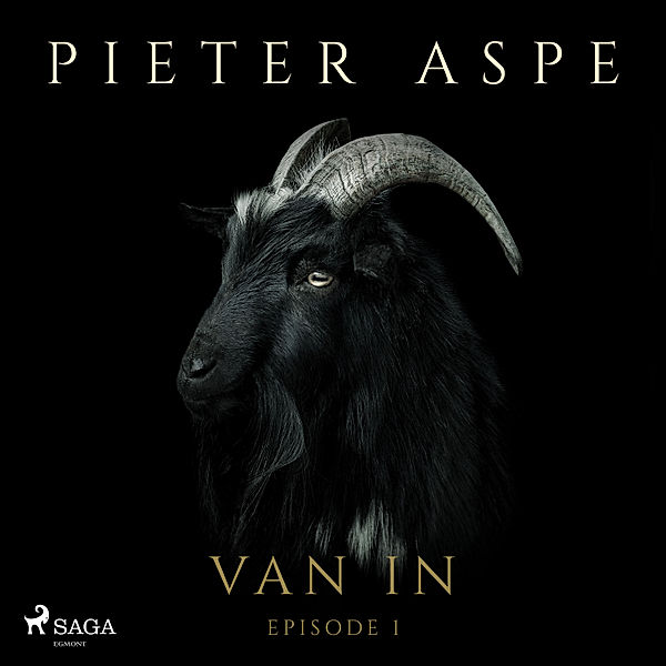 Van In - 1 - Van In - Episode 1, Pieter Aspe