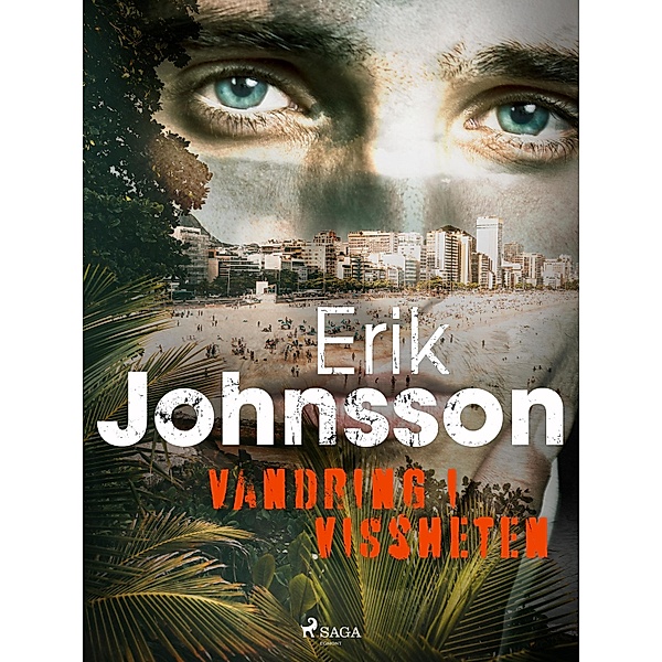 Vandring i vissheten / Kriminalinspektör Lars Cleve Bd.3, Erik Johnsson