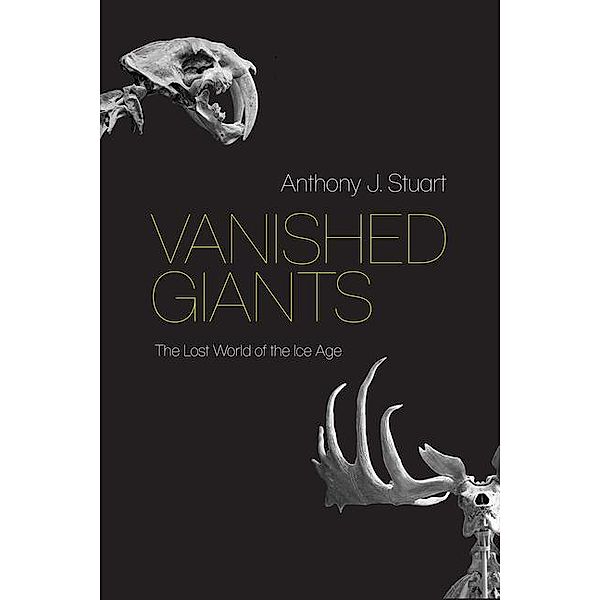 Vanished Giants, Anthony J. Stuart