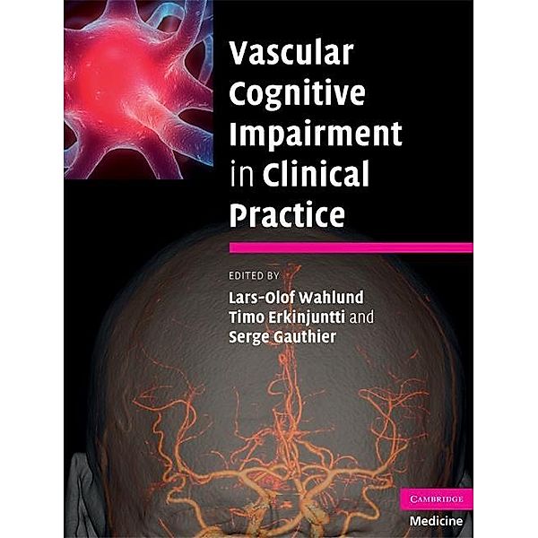 Vascular Cognitive Impairment in Clinical Practice