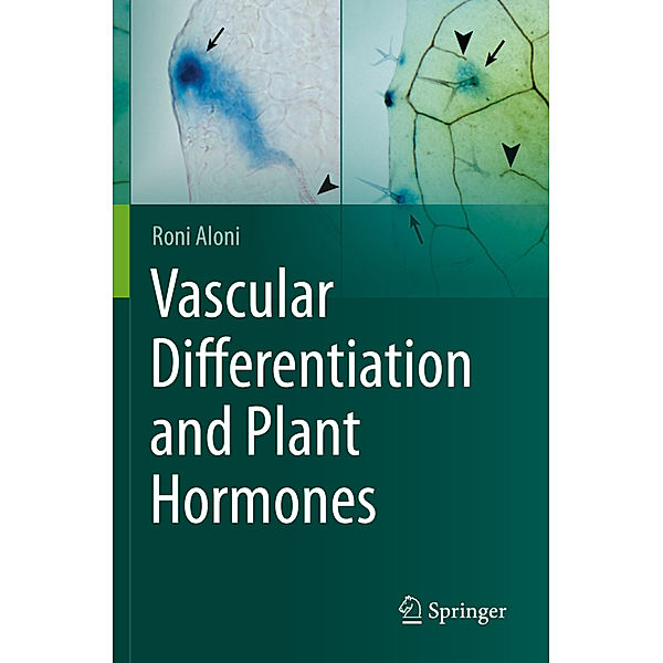 Vascular Differentiation and Plant Hormones, Roni Aloni