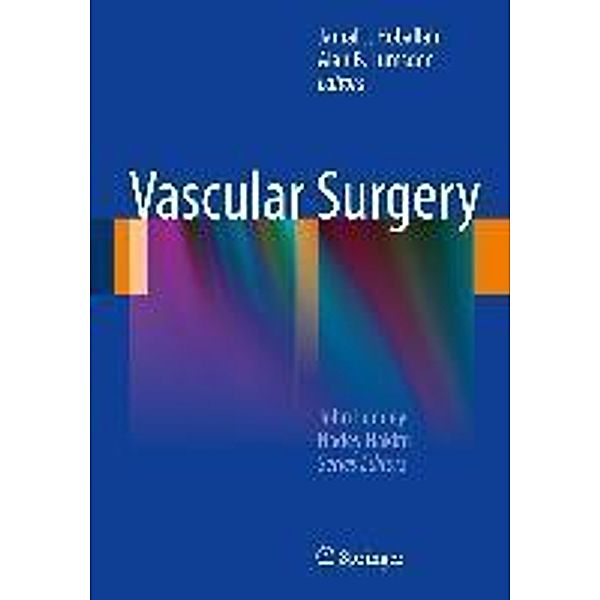 Vascular Surgery / New Techniques in Surgery Series Bd.6
