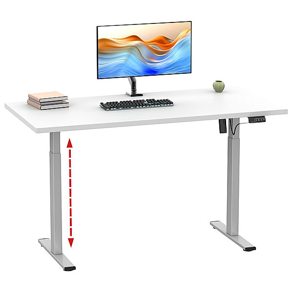 VCM Höhenverstellbarer Schreibtisch stufenlos elektrisch höhenverstellbar Lona 110x80 Silber (Farbe: Weiß)