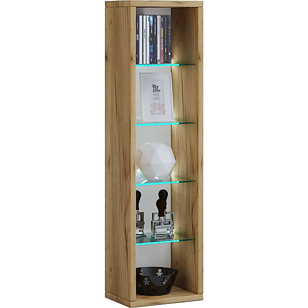 VCM Holz CD DVD Stand Regal Rasato mit Glasböden (Farbe: Honig-Eiche, Größe: 77)