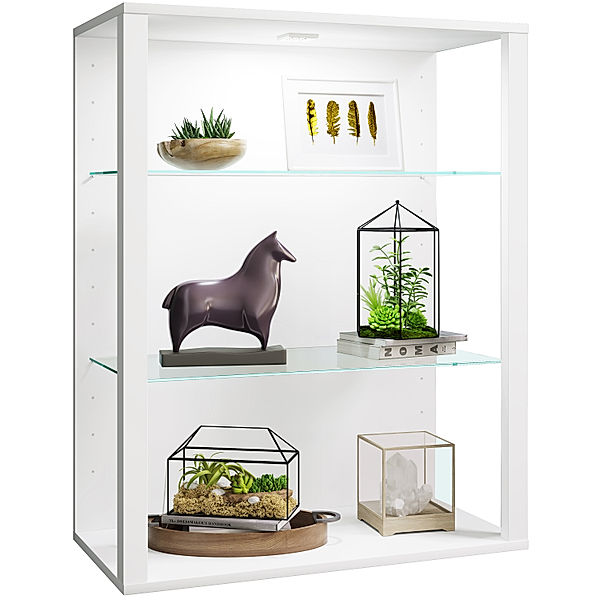 VCM Holz Glas Wandvitrine Hängevitrine Vitrine Sammelvitrine Glasvitrine Schaukasten Standvitrine Glasol LW (Farbe: Weiß)