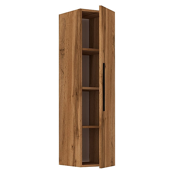 VCM Holz Wandregal Hängeregal Wandschrank Klappschrank Arila XL Senkrecht (Farbe: Honig-Eiche)