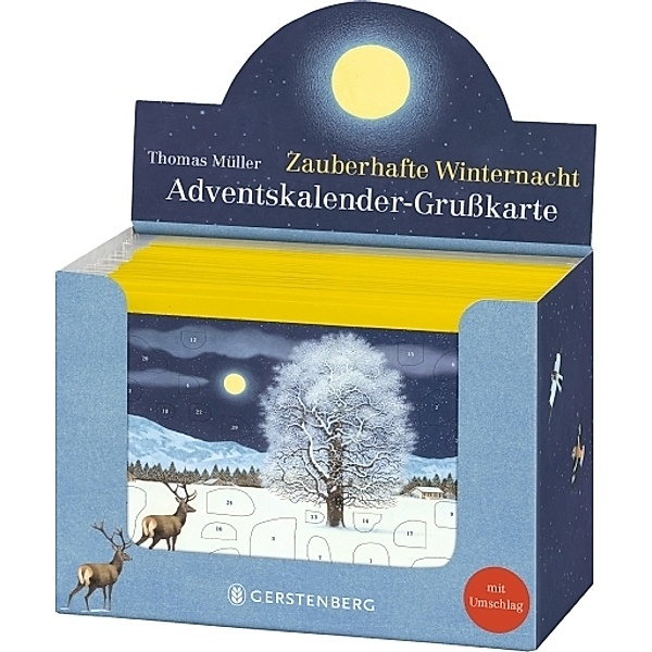 VE Zauberhafte Winternacht Adventskalender-Grußkarten 20 Ex., Thomas Müller