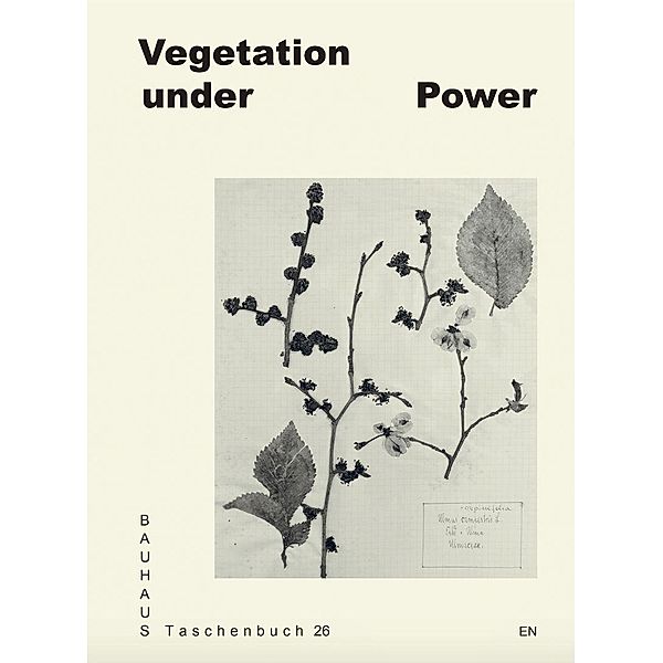 Vegetation under Power, Lili Carr, Maya Errázuriz, Shaiwanti Gupta, Elizabeth Hong, Pierre Klein, Elisabetta Rattalino, Shivani Shedde, Nancy Valladares