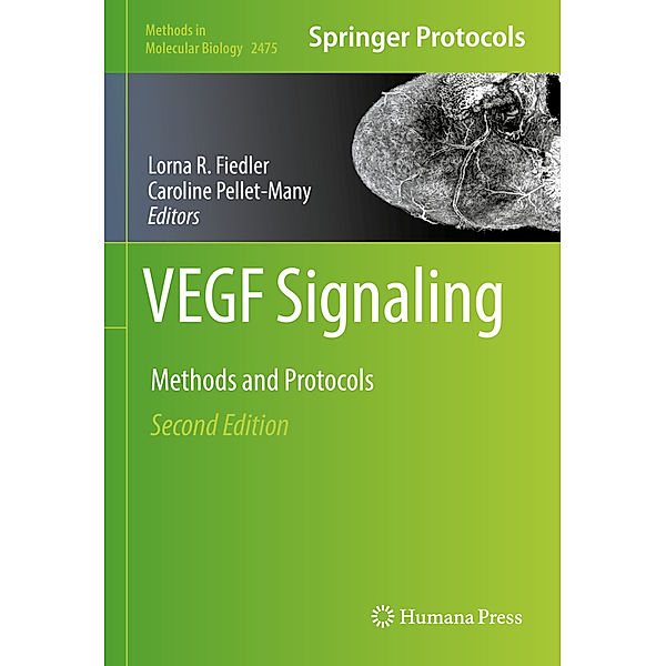 VEGF Signaling