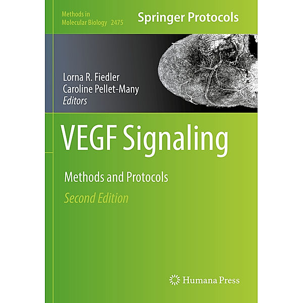 VEGF Signaling