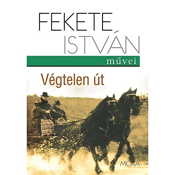 Végtelen út, István Fekete