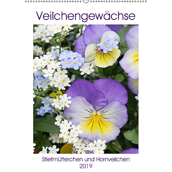Veilchengewächse Stiefmütterchen und Hornveilchen (Wandkalender 2019 DIN A2 hoch), Gisela Kruse