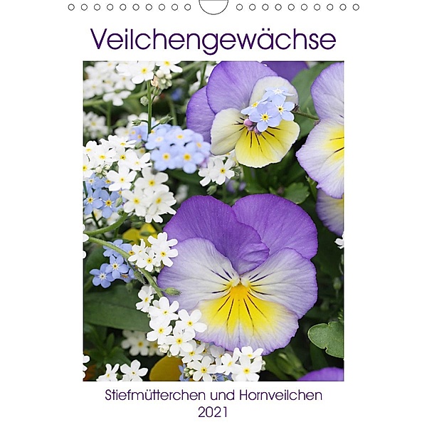 Veilchengewächse Stiefmütterchen und Hornveilchen (Wandkalender 2021 DIN A4 hoch), Gisela Kruse