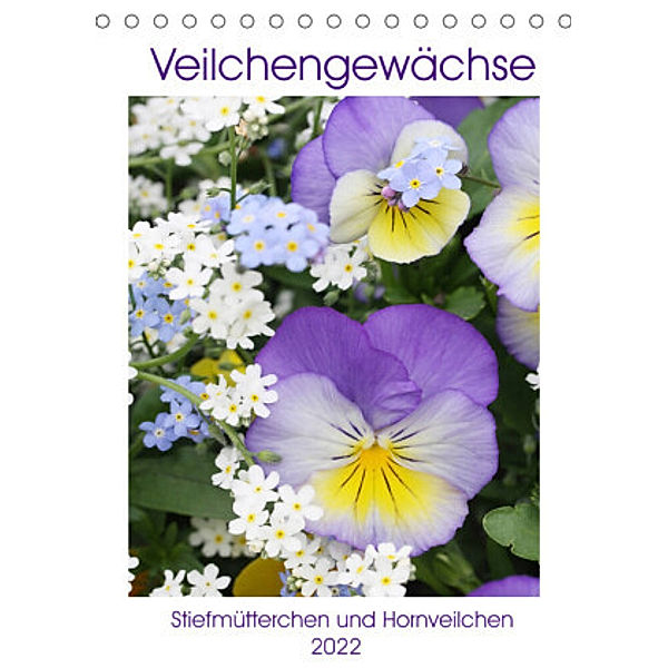 Veilchengewächse Stiefmütterchen und Hornveilchen (Tischkalender 2022 DIN A5 hoch), Gisela Kruse